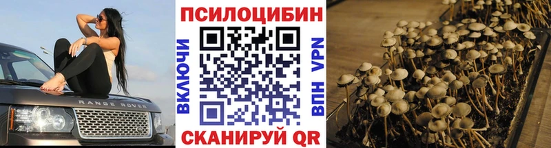 Псилоцибиновые грибы Psilocybine cubensis  как найти закладки  Пугачёв 