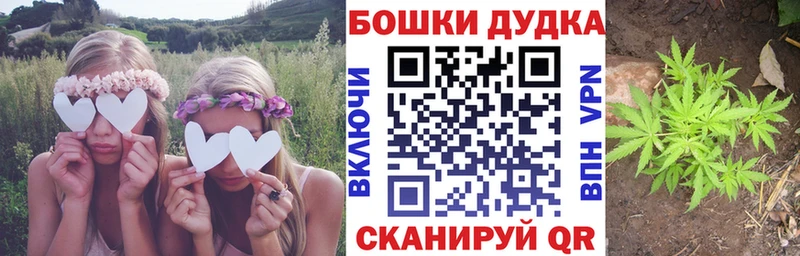 Бошки марихуана MAZAR  магазин    Пугачёв 
